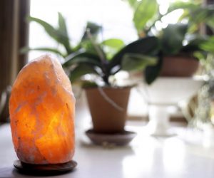 himalayan salt lamp by so well