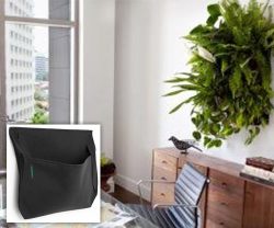 wall planters by woolly pocket