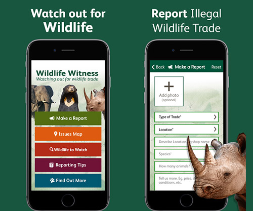 wildlife witness save endangered species app