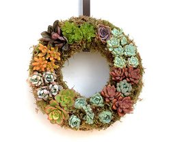 succulent wreath
